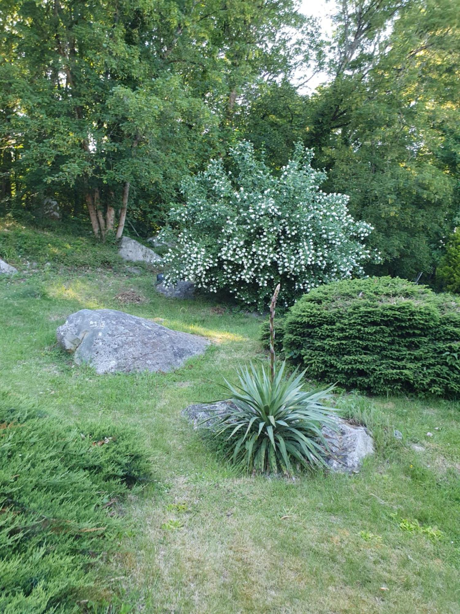 Le Jardin Des Roches Bed and Breakfast Moigny Εξωτερικό φωτογραφία